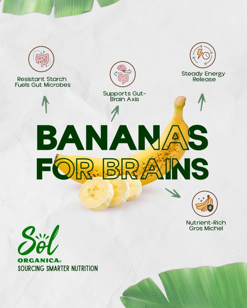 Bananas for Brains nutrition graphic