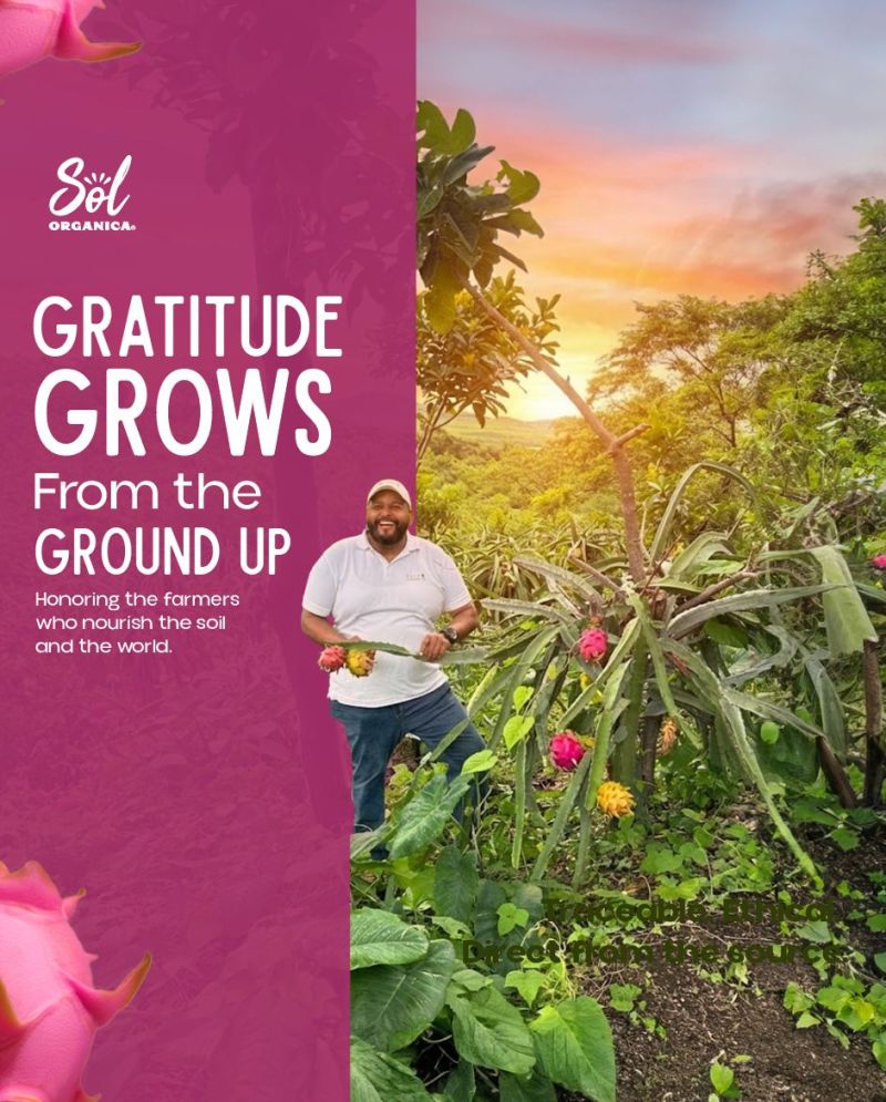 Gratitude grows from the ground up