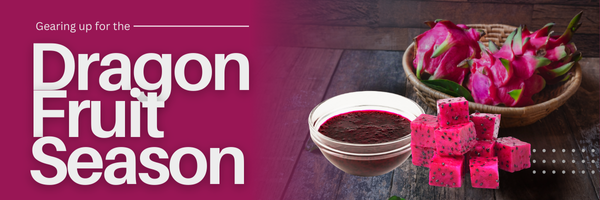 Gearing up for dragon fruit season