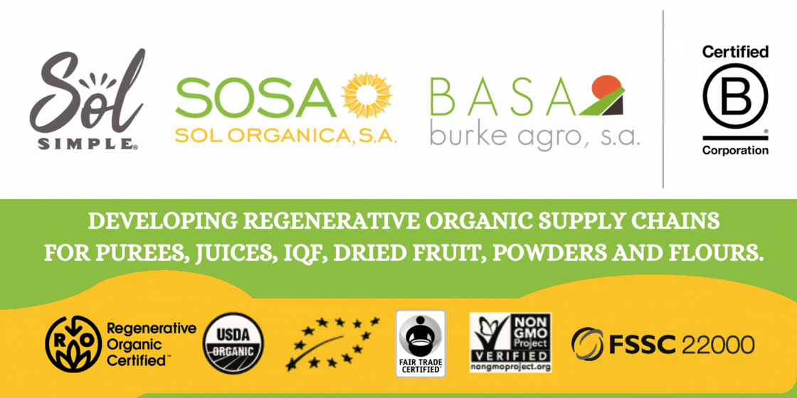 Firma de Correo Electrónico Consultor de Negocios Profesional  Verde (3)