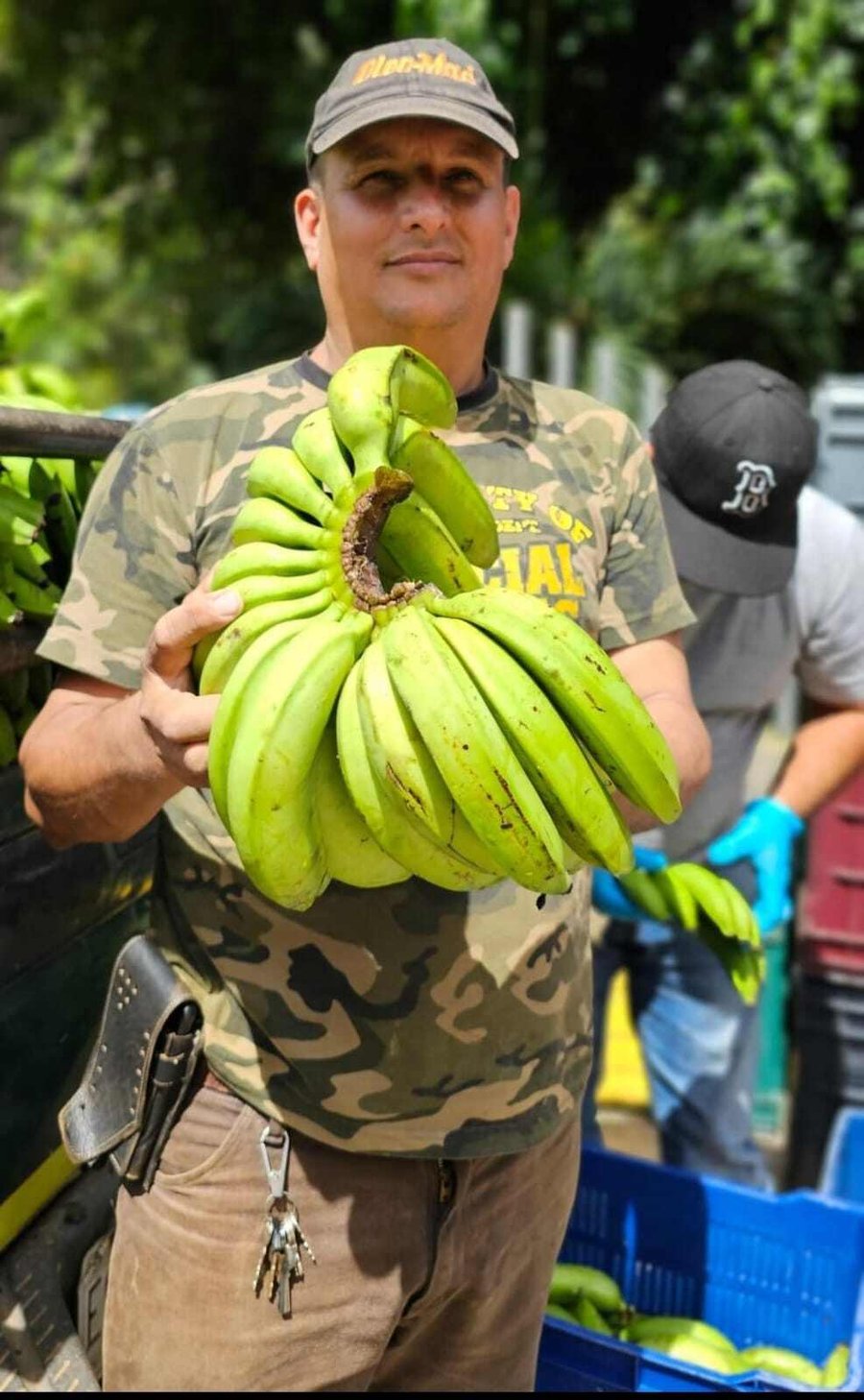 Santos Talavera, organic banana farmer
