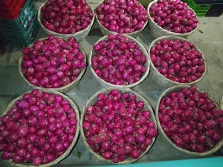 WhatsApp Image 2025-07-24 at 13.56.37_6c3318ae