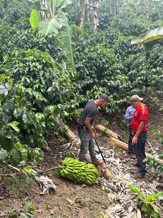 WhatsApp Image 2025-10-07 at 12.45.47_defd86e9