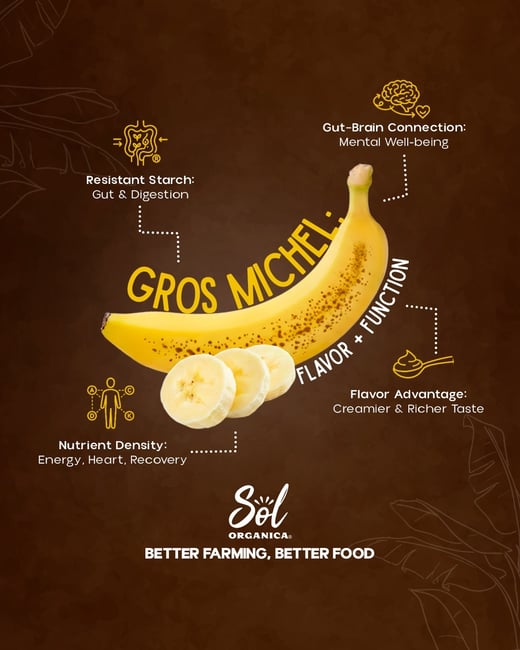 WhatsApp Image 2025-10-15 at 13.17.59_02e5cf59