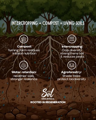 WhatsApp Image 2025-10-15 at 13.17.59_de1f1293