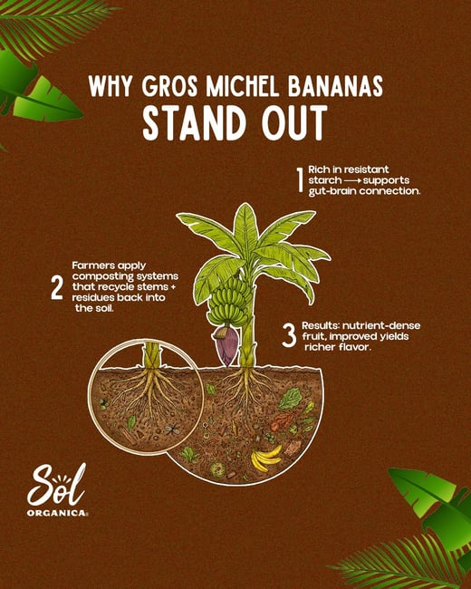 WhatsApp Image 2025-11-06 at 18.06.38_4e4365d5