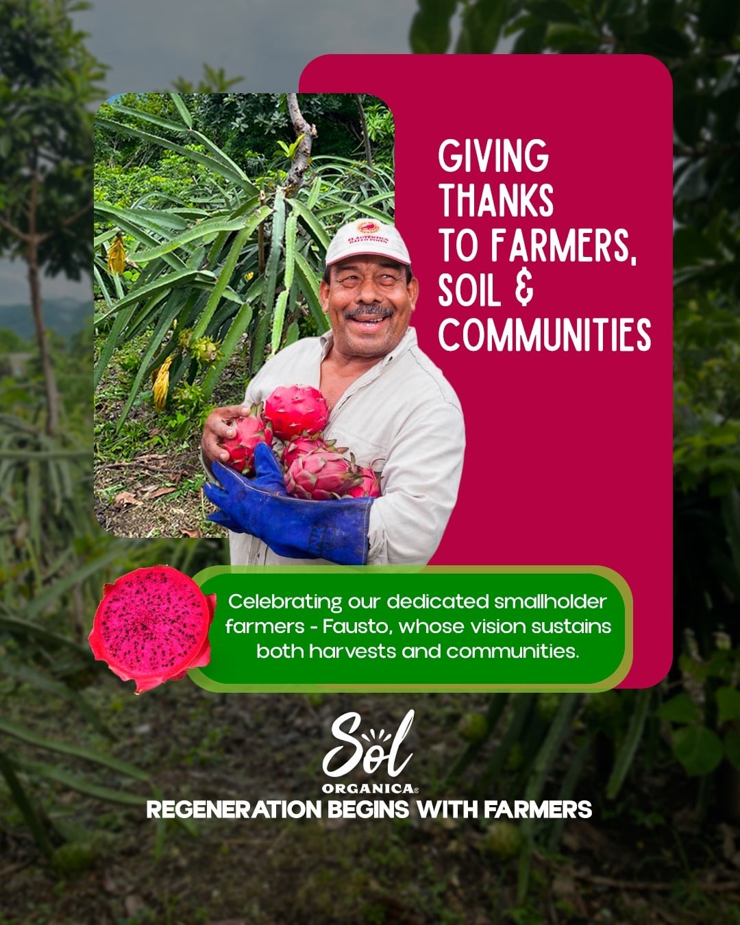 Dragon fruit farmer giving thanks to farmers, soil and communities
