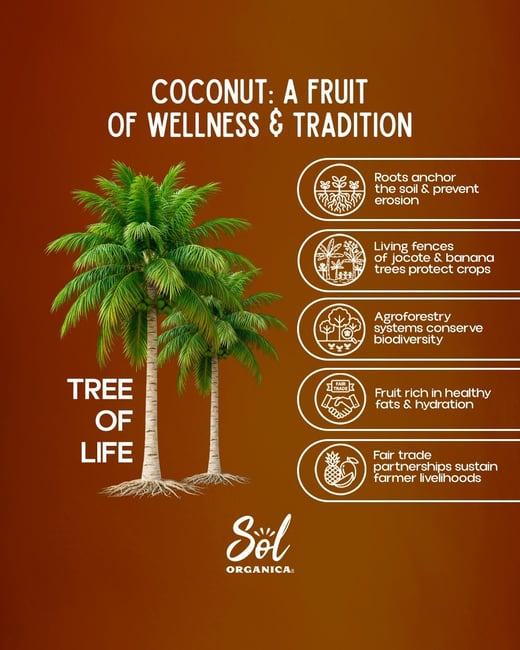 WhatsApp Image 2025-11-13 at 11.15.53_076bed3f