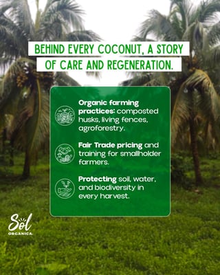 WhatsApp Image 2025-11-29 at 09.15.29_6dc2cf41